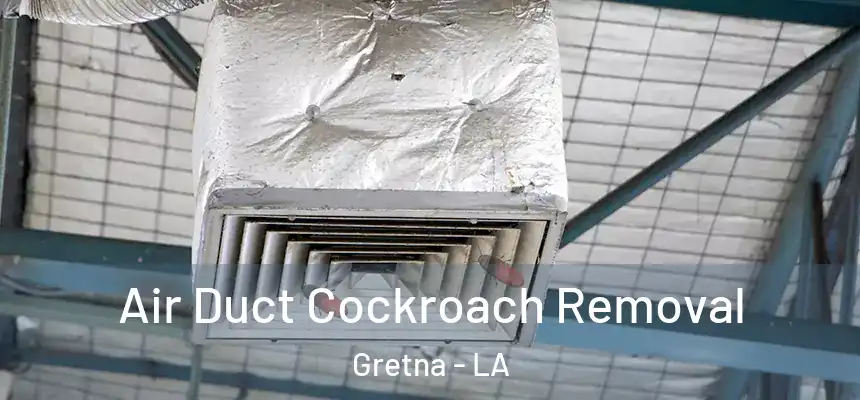  Air Duct Cockroach Removal Gretna - LA