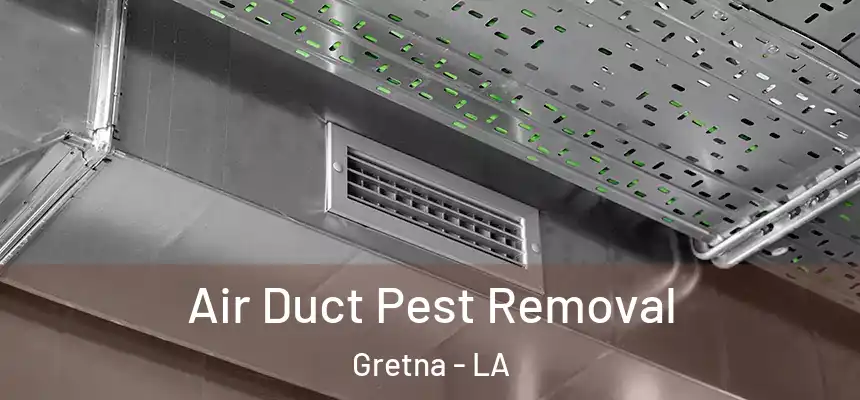  Air Duct Pest Removal Gretna - LA