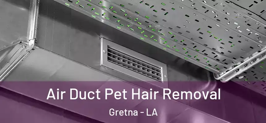  Air Duct Pet Hair Removal Gretna - LA