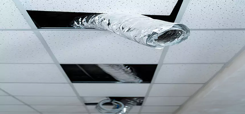 Affordable HVAC Sanitizing After Pest Removal in Gretna