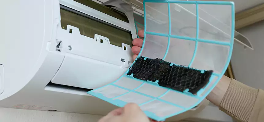 Gentle Ductwork Odor-Control Pet Dander Duct Cleaning in Gretna, LA