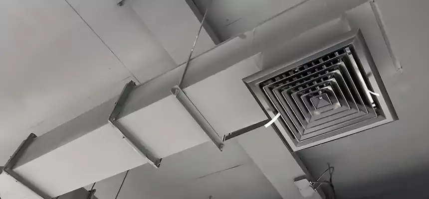 Our Rodent Droppings In Vents Services in Gretna, LA