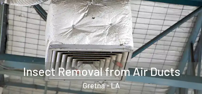  Insect Removal from Air Ducts Gretna - LA