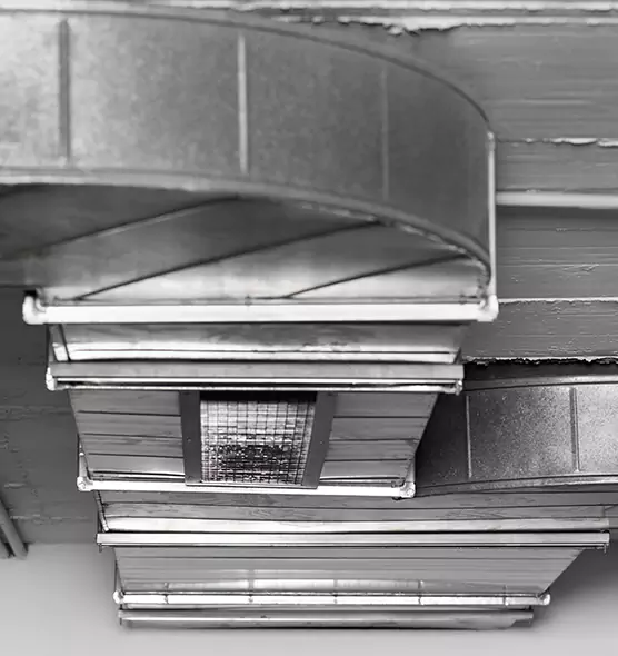 Professional Air Duct Pet Hair Removal in Gretna, LA