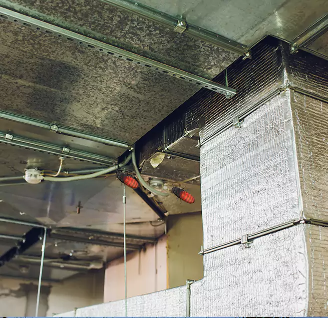 Why Homeowners & Businesses Trust Us in Gretna, LA?