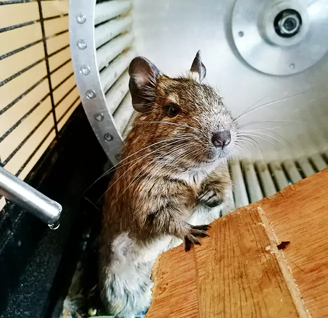 Why Homeowners & Businesses Trust Us Gretna, LA?